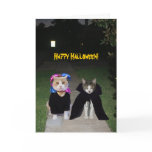 Funny Cats Halloween cards