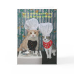 Funny Chef Cats Birthday cards