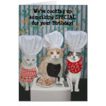 Funny Chef Cats Birthday Greeting Card