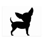 Funny Chihuahua Post Card