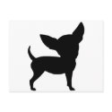 Funny Chihuahua postcards