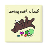 Funny Chocolate Labrador Cartoon Illustration Fridge Magnet