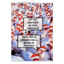 Funny Christmas festivities