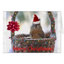 Funny Christmas Squirrel Card