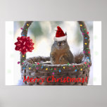Funny Christmas Squirrel Posters