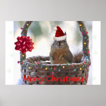 Funny Christmas Squirrel Posters