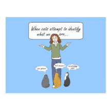 Funny Clueless Kitties Postcard