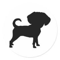 Funny Cute Big Head Puggle Dog
