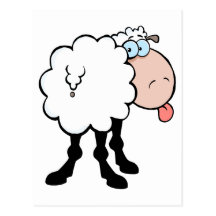 funny cute sheep sticking tongue out from behind postcards