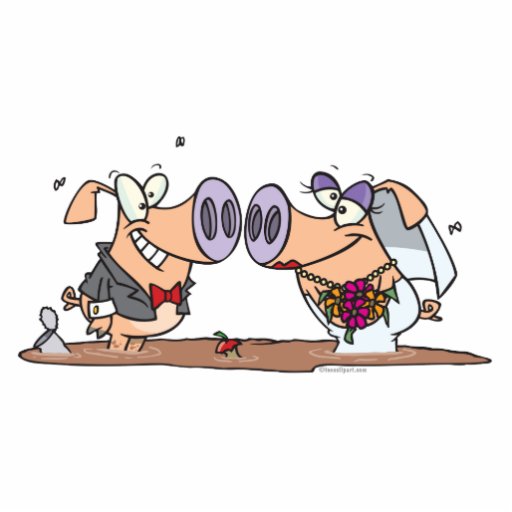 funny cute silly wedding pigs bride groom photo cut out