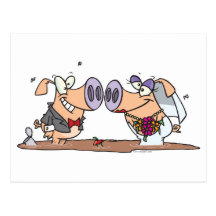 funny cute silly wedding pigs bride groom post card