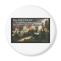Funny Declaration of Independence Refrigerator Magnets