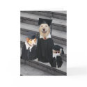 Funny Dog Graduation cards