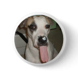 FUNNY DOG PIN