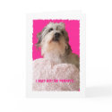 Funny Dog Valentine -- All Yours Valentine cards