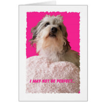 Funny Dog Valentine -- All Yours Valentine Greeting Cards