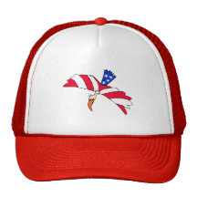 Funny Eagle With US Flag Design Mesh Hat