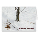 Funny Easter Bunny Poop Card