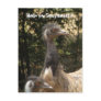 Funny Emu Postcard: Sexy Beast