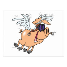 funny flying pig flyer cartoon post cards