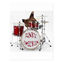 Funny Funky chicken Post Card