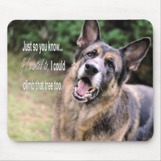 Related Pictures funny dog magnet german shepherd dog forums Related Pictures funny dog magnet german shepherd dog forums