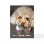 Funny get well card