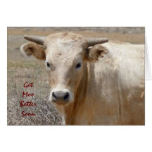 Funny Get Well - Cute White Cow - Ranch or Farm Greeting Card