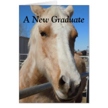 Funny Graduate Graduation Congratulations Horse Cards
