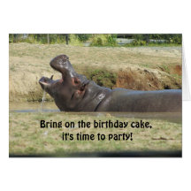 Funny Hippopotamus Birthday Greeting Cards