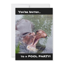 Funny Hippopotamus Photography