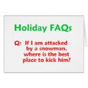 Funny Holiday FAQs Christmas Card