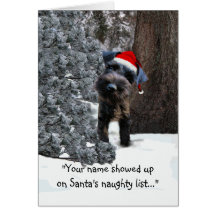 Funny Holiday Greeting Card w/ mini schnauzer