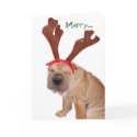 Funny Holiday Greetings from the Dog cards