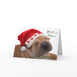Funny Holiday Greetings from the Dog cards