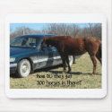 Funny Horse "300 Horse" mousepads