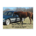 Funny Horse "300 Horse" postcards