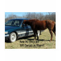 Funny Horse "300 Horse" t-shirts
