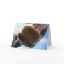Funny Horse Greeting Card