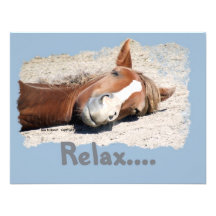 Funny Horse: Relax Custom Announcement