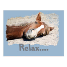 Funny Horse: Relax Post Card
