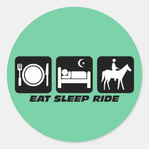 Funny horse stickers