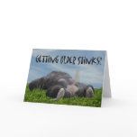 Funny Humourous Getting Older Monkey Happy Birthda cards