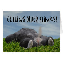 Funny Humourous Getting Older Monkey Happy Birthda Cards