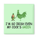 Funny Irish magnets