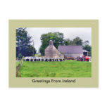 Funny Irish Scarecrow Postcard