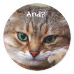 Funny Kitty Stickers