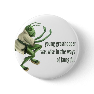 Funny Kung Fu Grasshopper Button