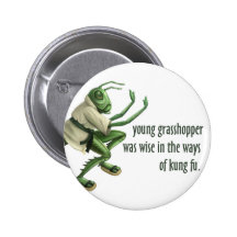 Funny Kung Fu Grasshopper Buttons