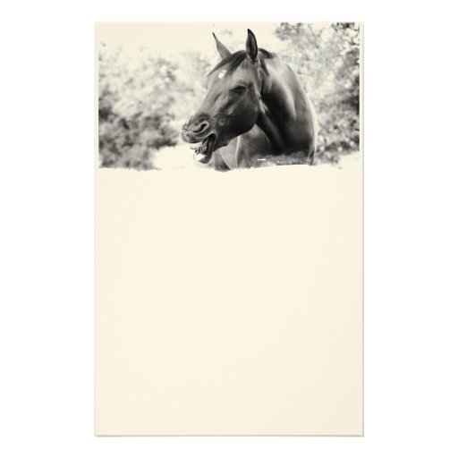 Funny Laughing Horse Custom Stationery